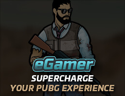 eGamer